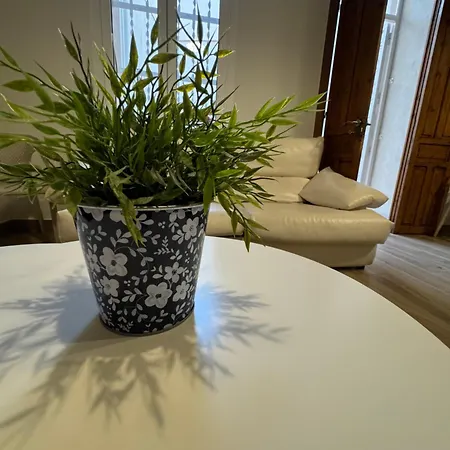 Casa Del Pasaje San Fernando Apartment Alicante